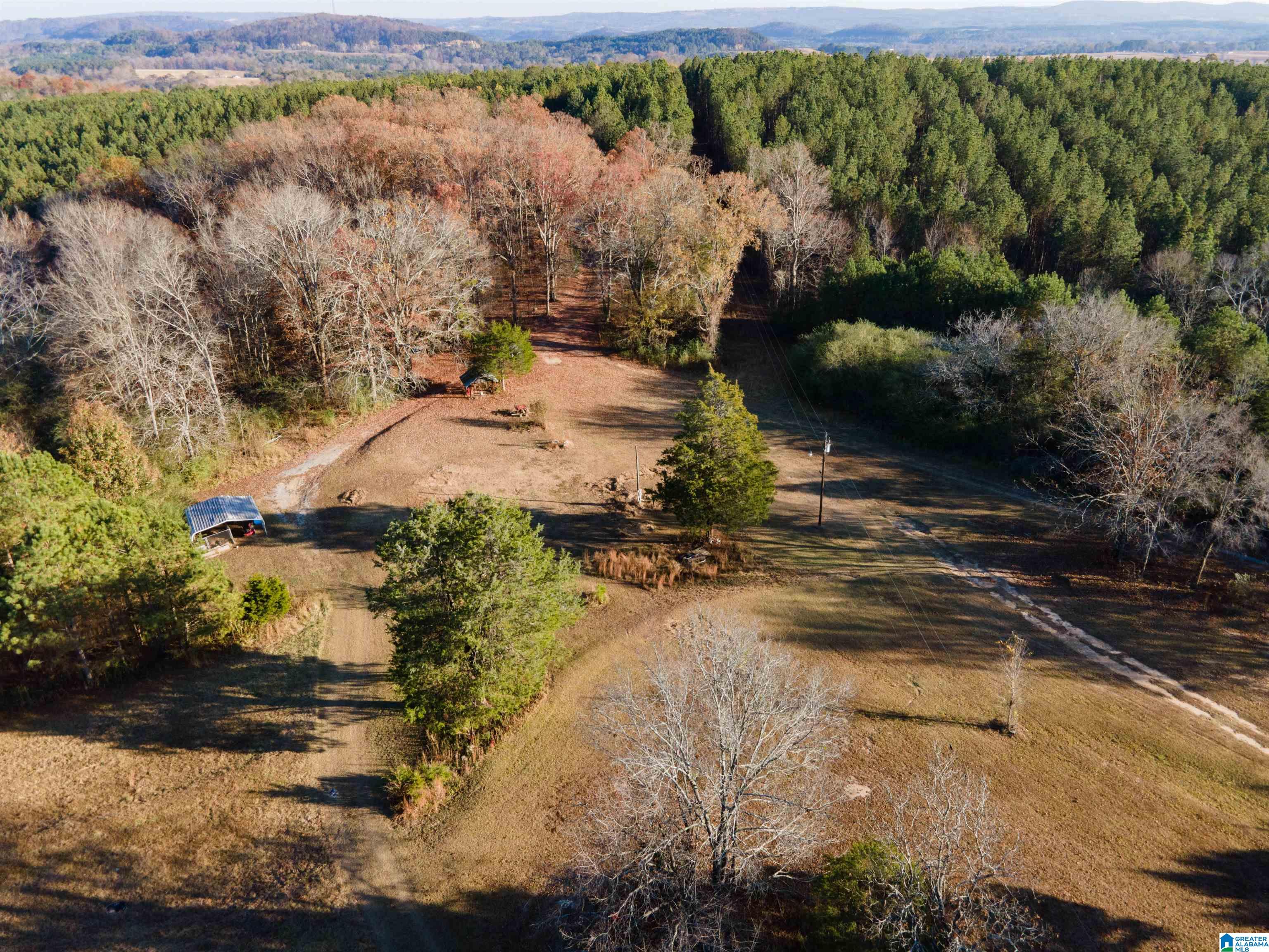 620 Chief Albert Road, Unit 1 Blountsville, AL 35031 - Photo 1 of 23