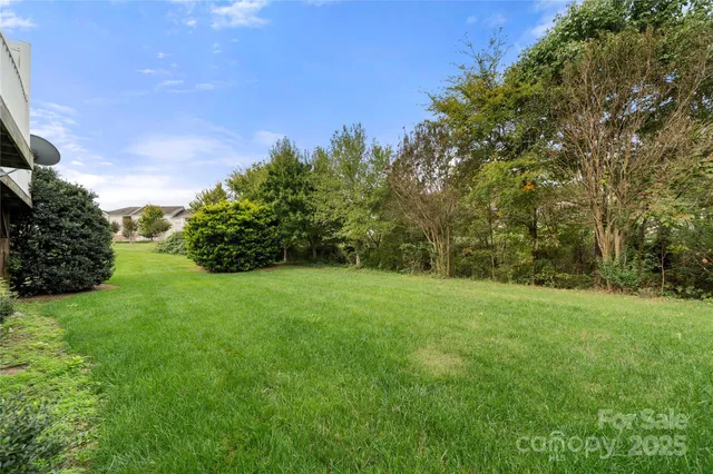 a view of a big yard with plants and large trees