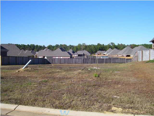 0 Springhill Crossing, Unit 181 Brandon, MS 39047 - Photo 3 of 4 Photo 3