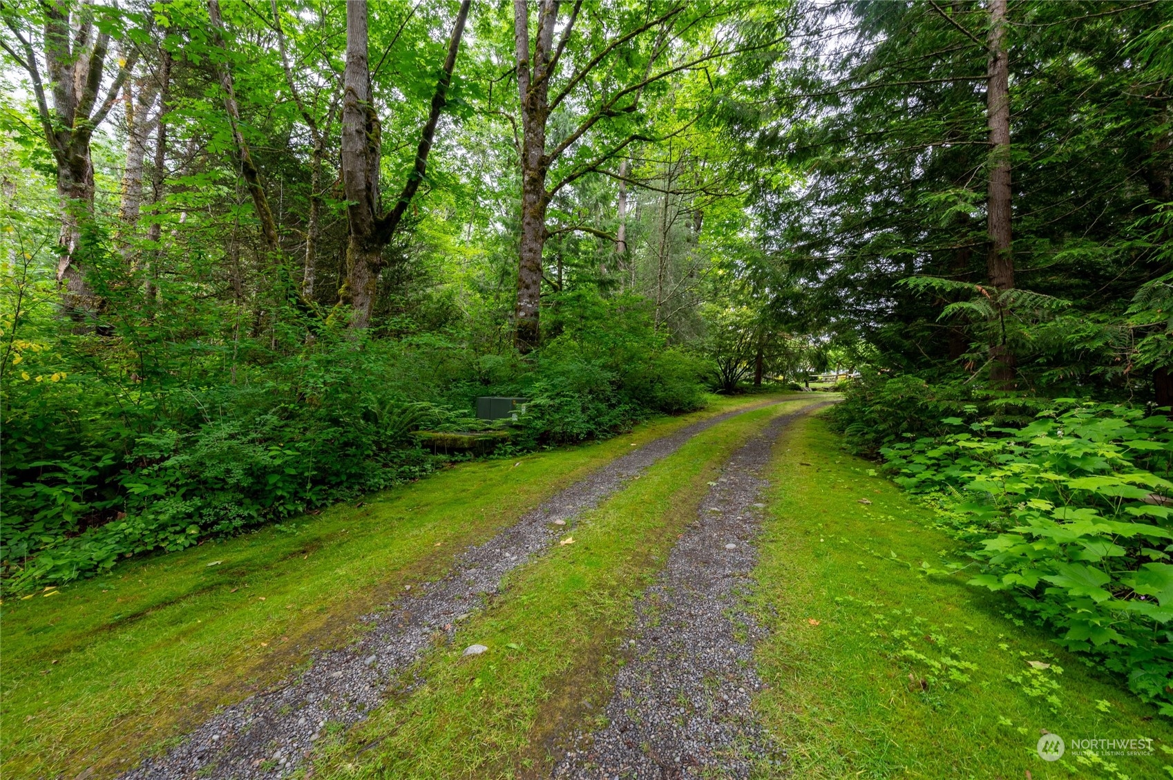 1835 High Noon Road Bellingham, WA 98226 - Photo 40 of 40 a lush green forest with lots of trees