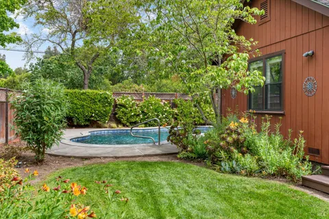 a view of garden with tall trees