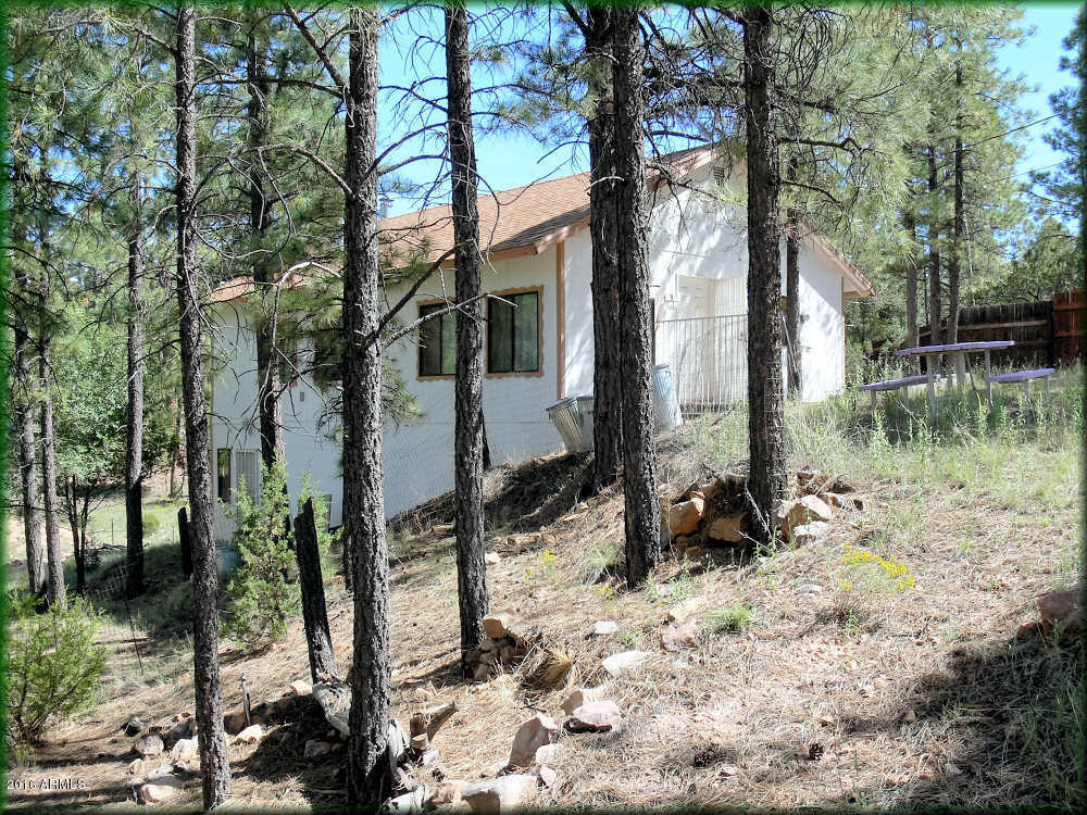 3645 Pine Rim Drive Overgaard, AZ 85933 - Photo 14 of 14 MLS14