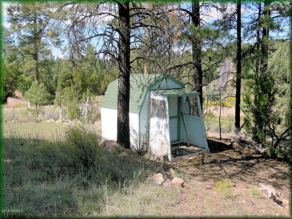 3645 Pine Rim Drive Overgaard, AZ 85933 - Photo 3 of 14 MLS3