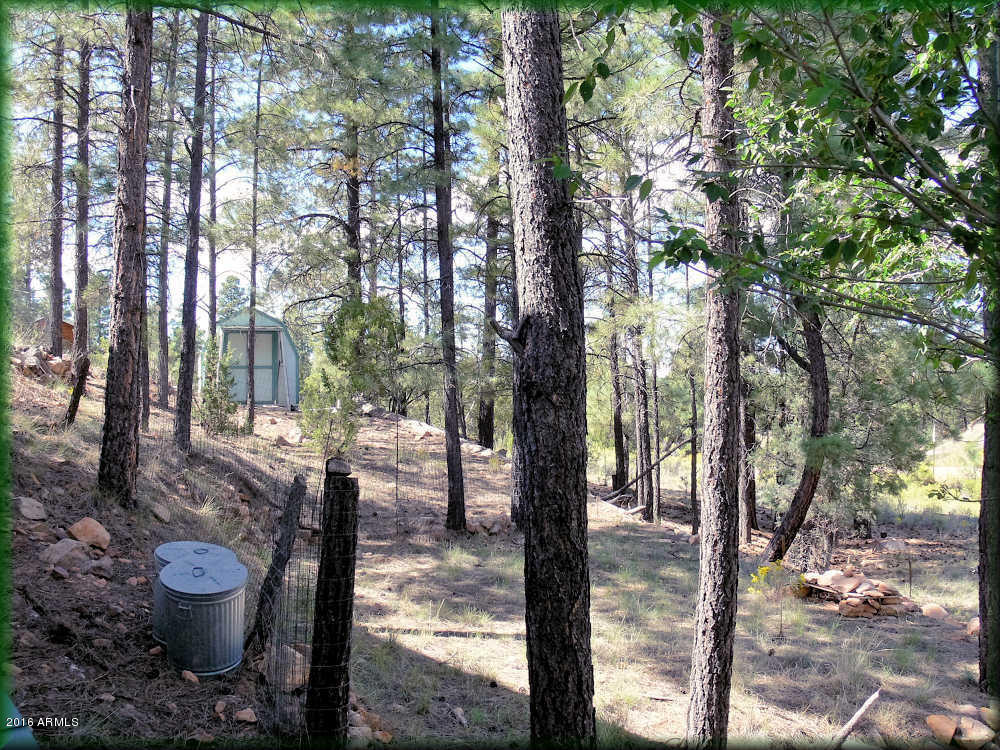 3645 Pine Rim Drive Overgaard, AZ 85933 - Photo 4 of 14 MLS4
