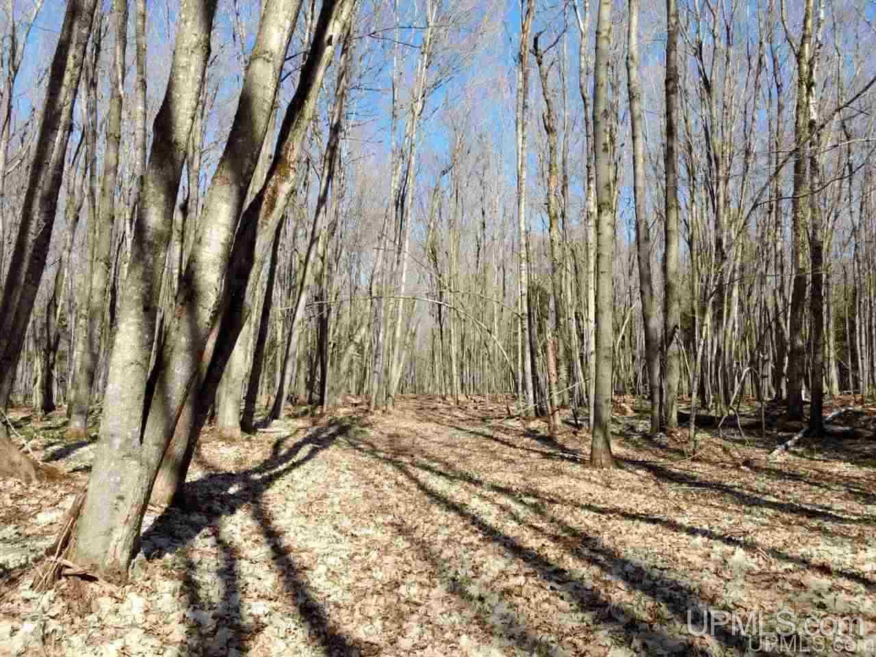 Tbd Off Pt Abbaye Road Lanse, MI 49946 - Photo 26 of 38 Gallery Image 26