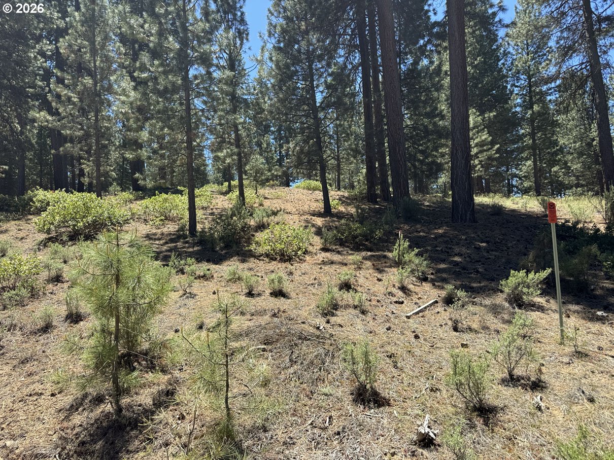 Incline Drive, Unit 22 Chiloquin, OR 97624 - Photo 8 of 19