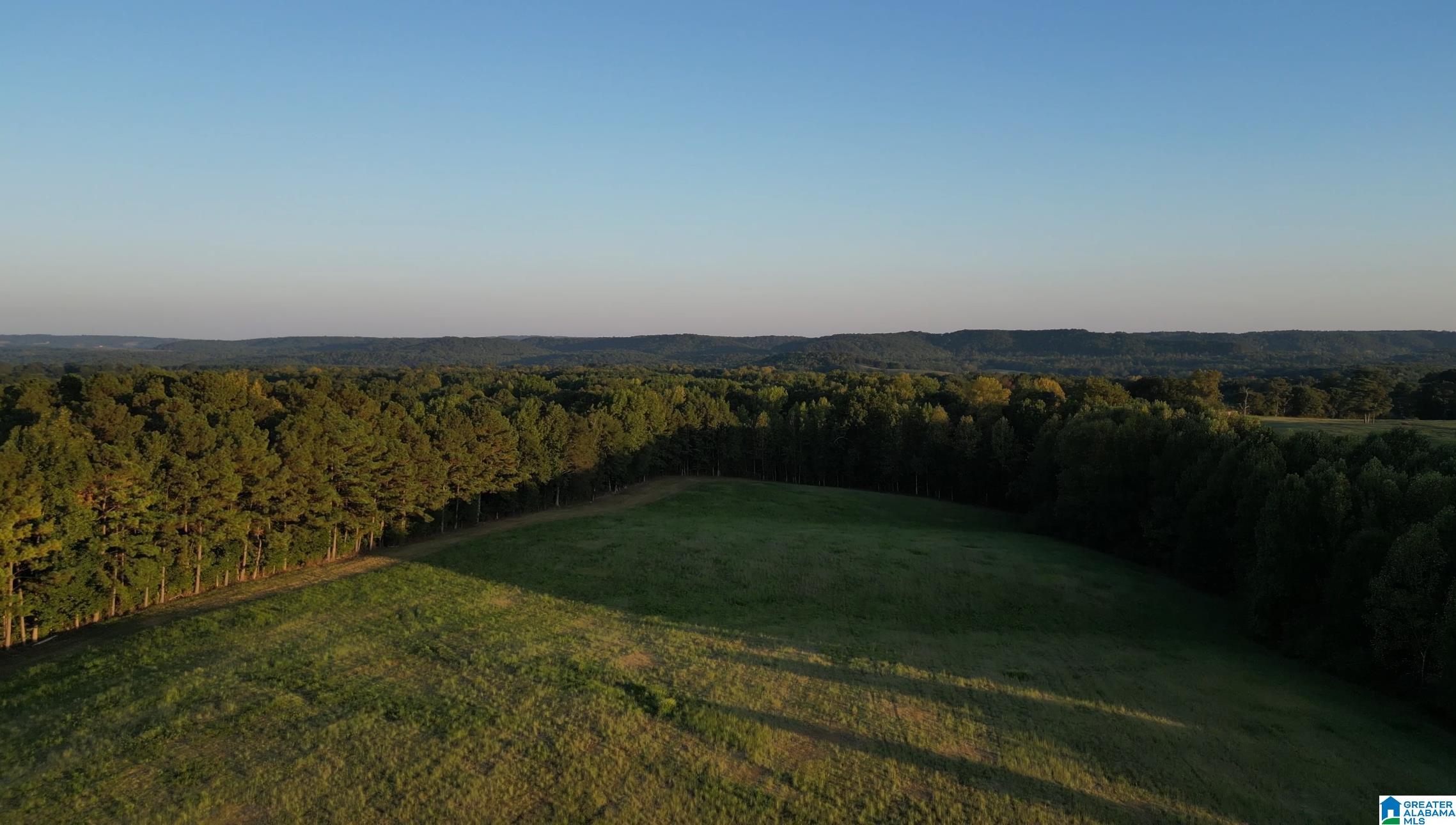 800 Barwick Road, Unit 1 Blountsville, AL 35031 - Photo 5 of 8