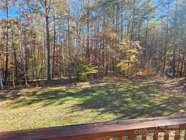 a view of large trees