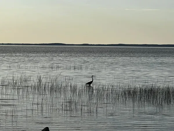 $375,000 | 5204 County Highway North, Oconto, WI 54153