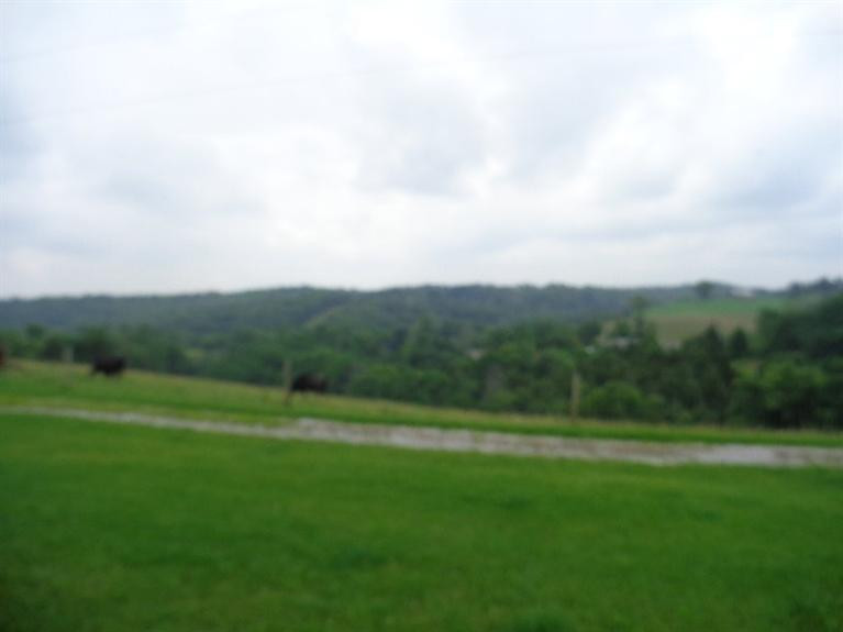 95 Tips Ridge Butler, KY 41006 - Photo 10 of 30 Gallery Image 10