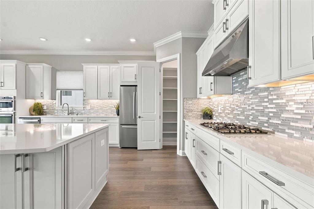 29596 Toricelli Road Wesley Chapel, FL 33543 - Photo 9 of 98 Gallery Image 9