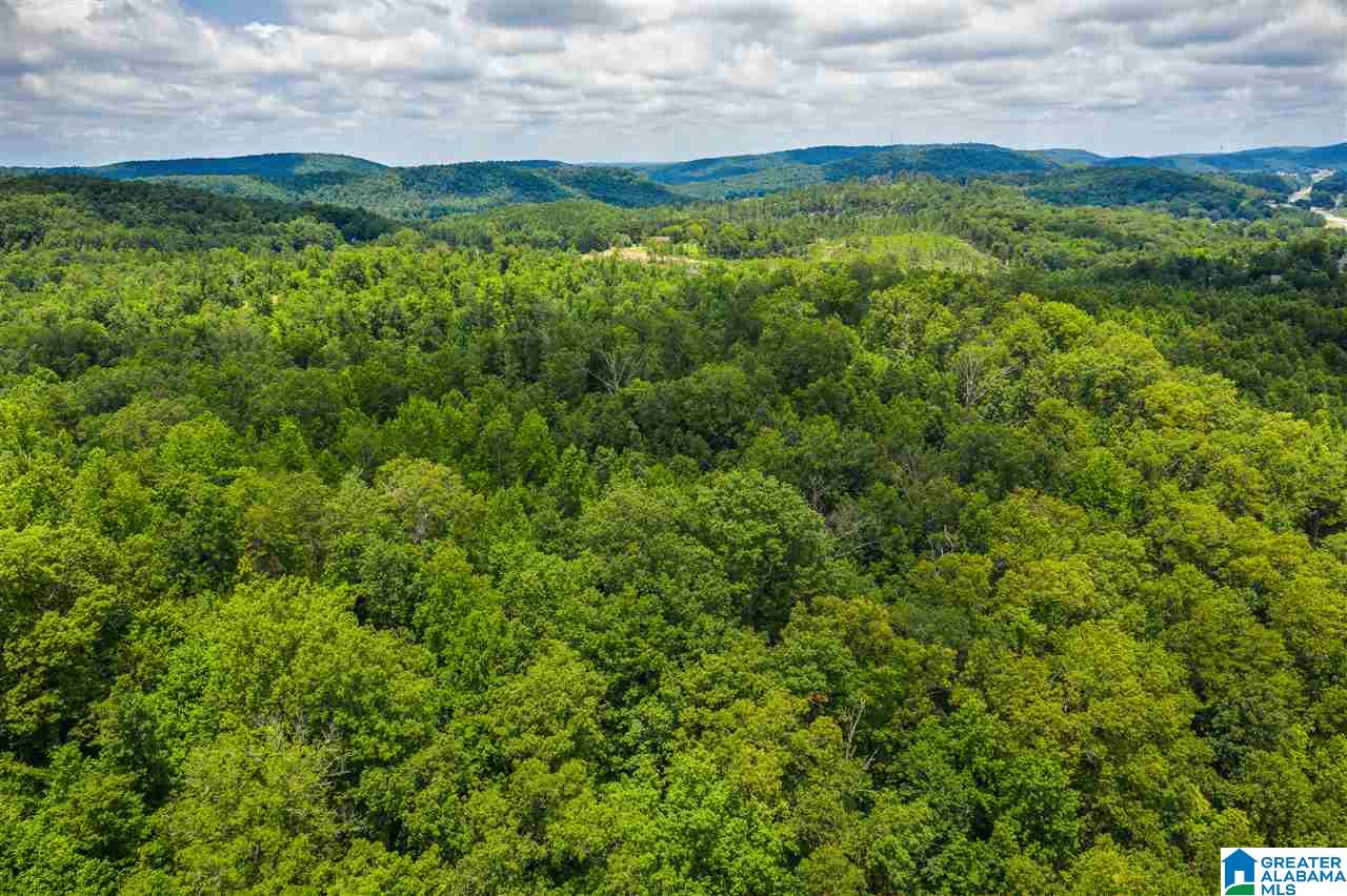0 Highway 75, Unit 5032 Oneonta, AL 35121 - Photo 11 of 18