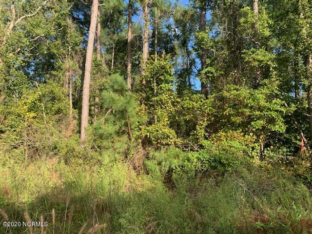 Lot 1 Broad Ck Road Washington, NC 27889 - Photo 3 of 3 IMG_4269