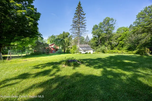 a view of a bunch of flowers