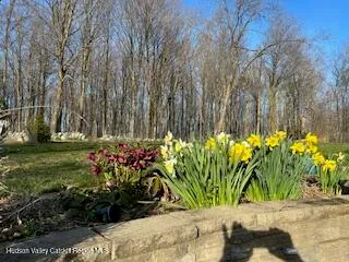 a view of a lake view
