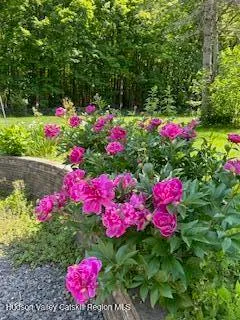 a backyard of a house with lots of green space