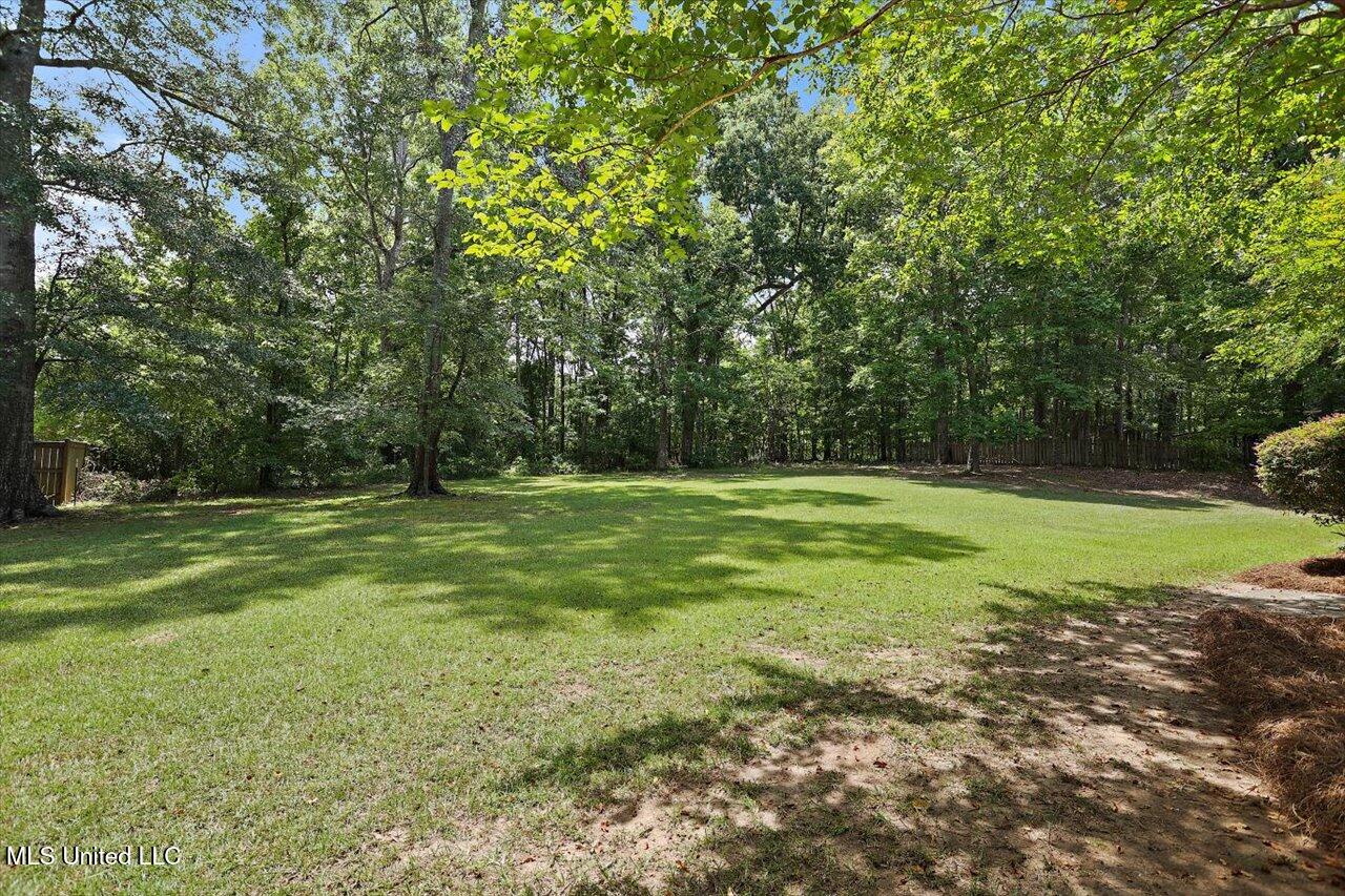 1106 Pointe Cove Brandon, MS 39042 - Photo 50 of 50 50-1106 Pointe Cv