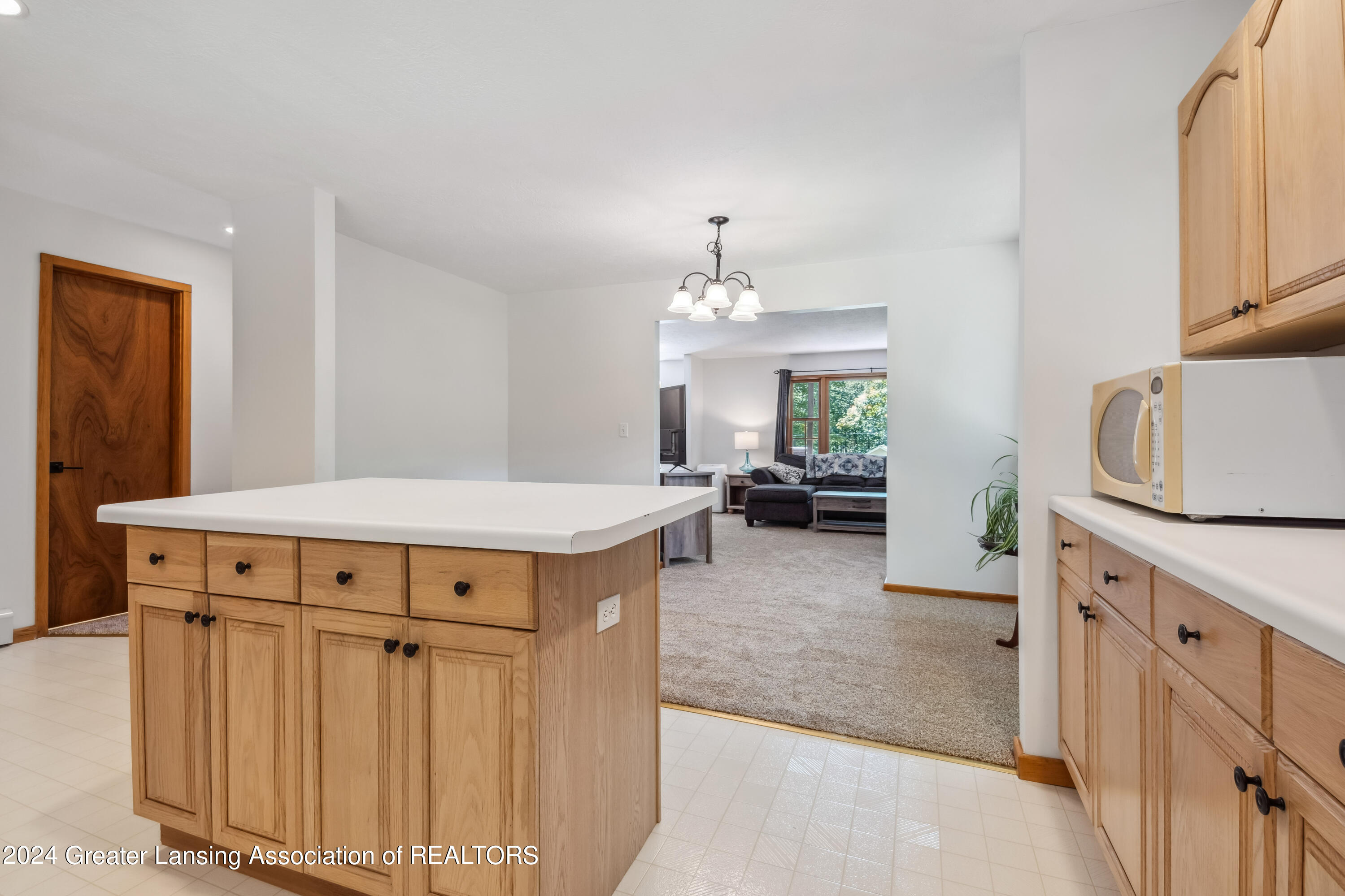 2979 Rasmus Drive Grayling, MI 49738 - Photo 14 of 46 DSC07534