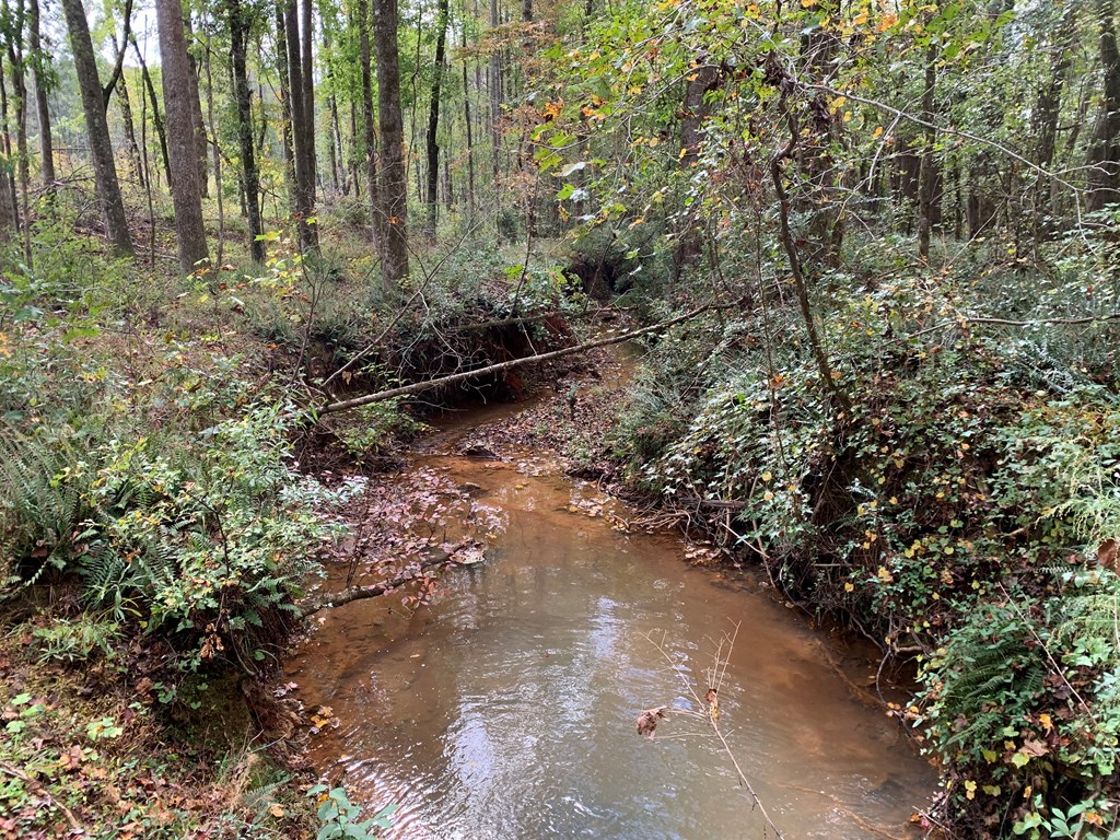 137.12-ac Yates Road West Point, GA 31833 - Photo 3 of 9