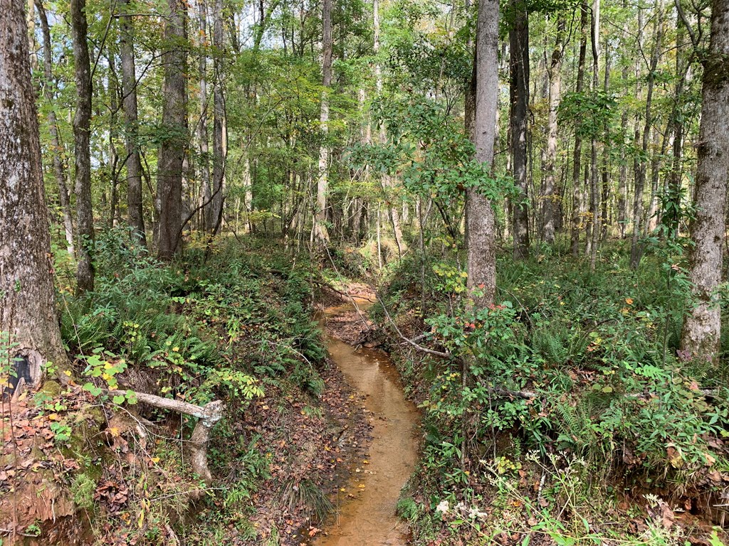 137.12-ac Yates Road West Point, GA 31833 - Photo 7 of 9