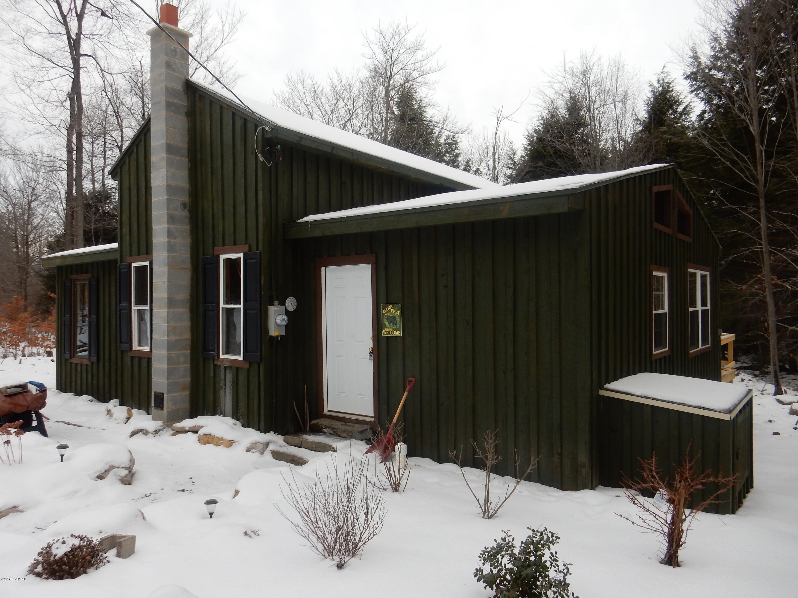 60 James Road Dushore, PA 18614 - Photo 22 of 23 front snow