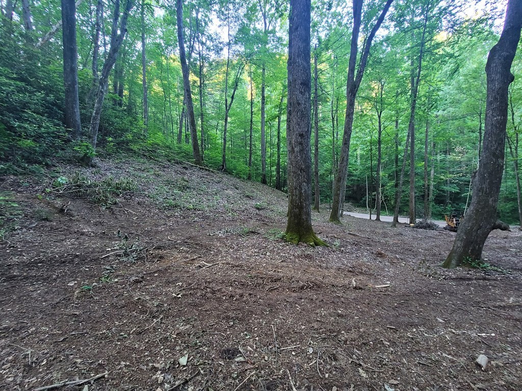 14 Cara Way Cosby, TN 37722 - Photo 7 of 18