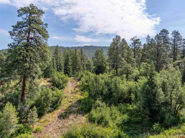 an aerial view of a houses with a lush green hillside