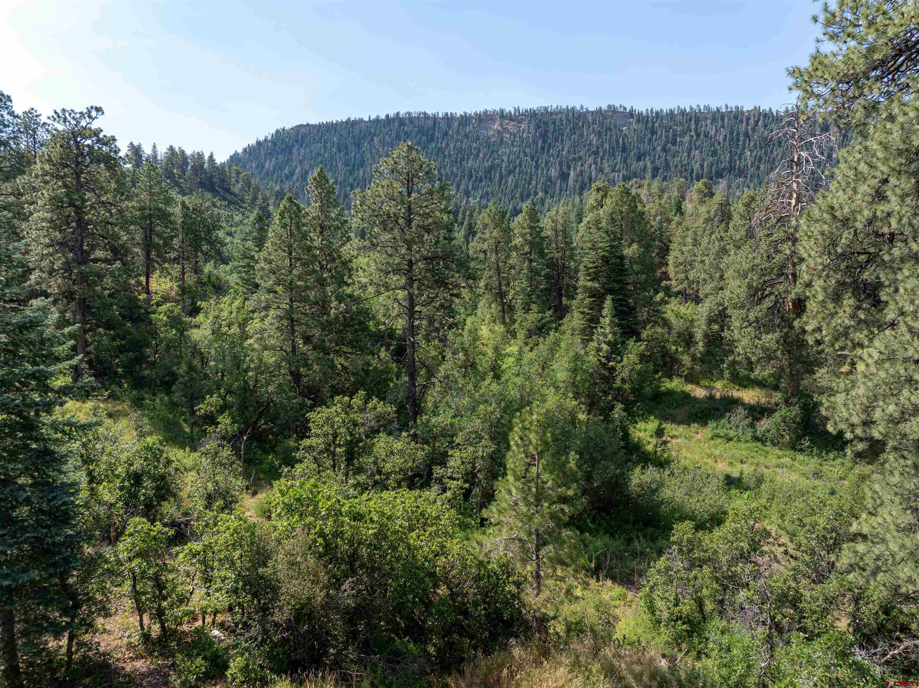 89 Sunset Lane Durango, CO 81301 - Photo 38 of 44 Gallery Image 38