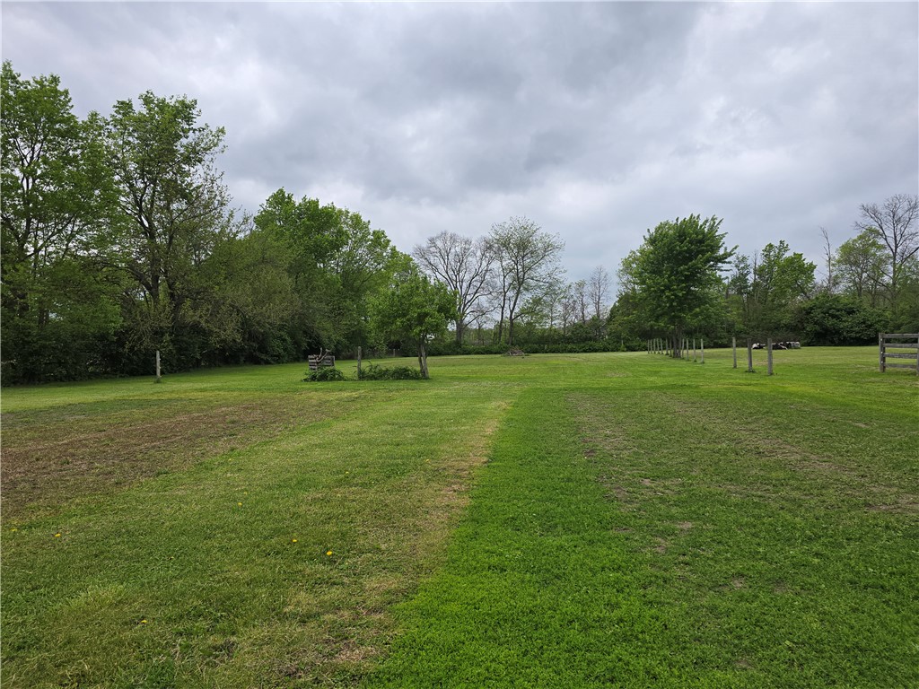 457 Wolf Road West Alexandria, OH 45381 - Photo 11 of 28 Expansive green yard offering ample space and serene natural views.