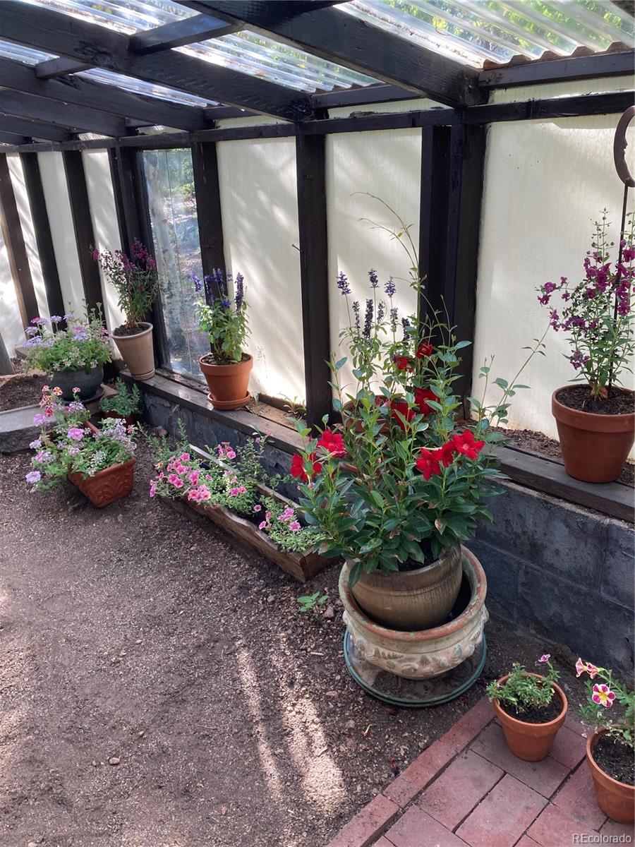 77 East Crosscut Road Bailey, CO 80421 - Photo 16 of 43 a bunch of flowers are in a garden