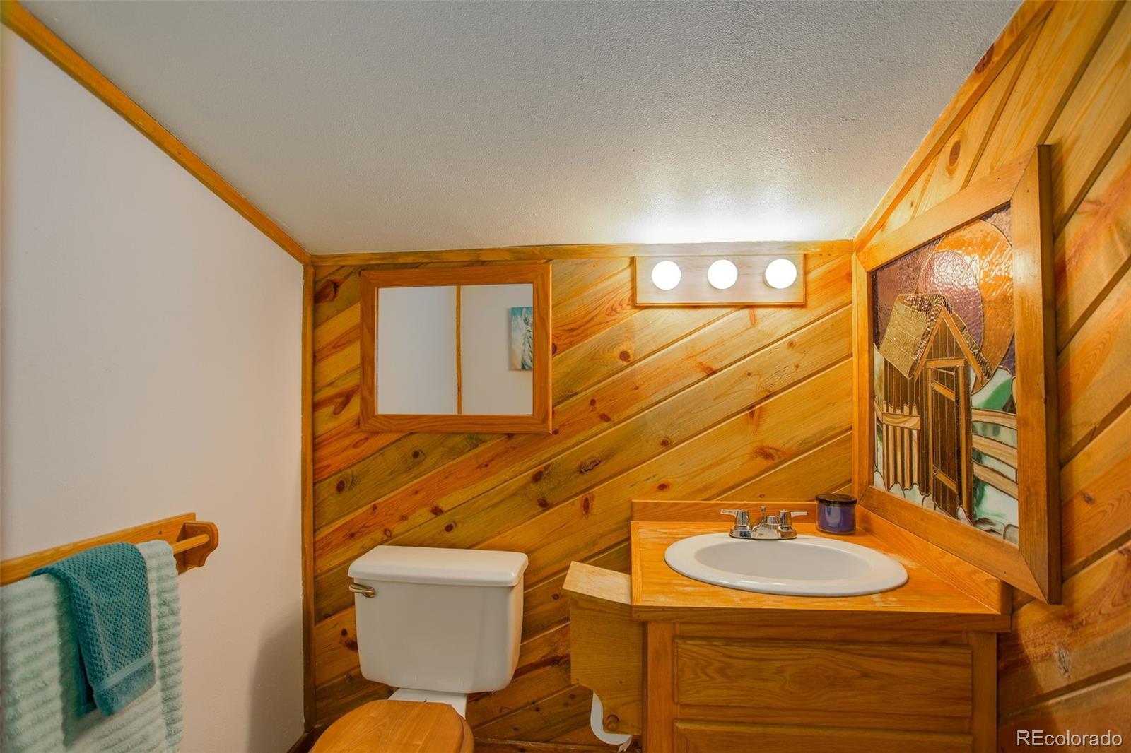 77 East Crosscut Road Bailey, CO 80421 - Photo 29 of 43 a bathroom with a sink mirror and toilet
