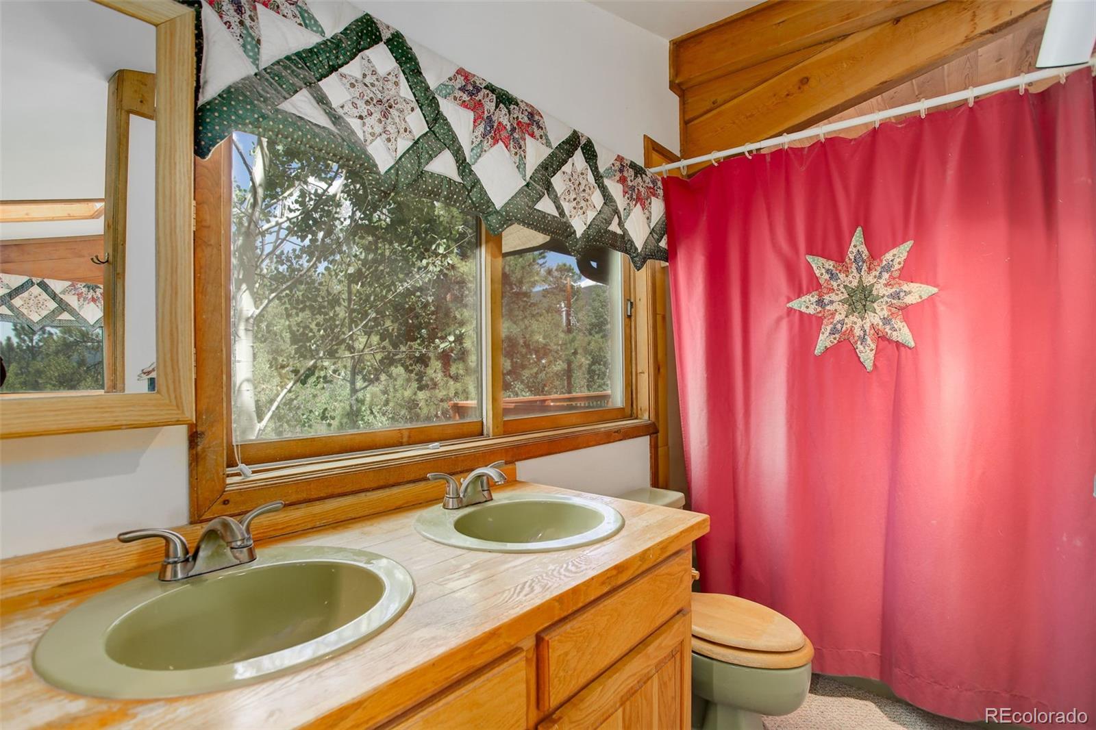 77 East Crosscut Road Bailey, CO 80421 - Photo 36 of 43 a bathroom with a sink a toilet a mirror and shower curtain
