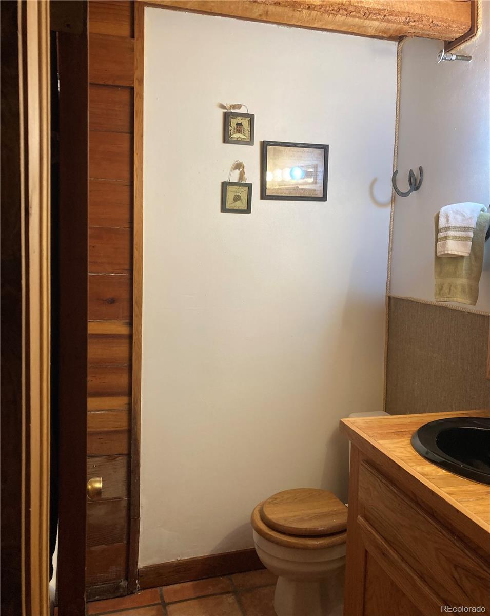 77 East Crosscut Road Bailey, CO 80421 - Photo 37 of 43 a bathroom with a toilet and a sink