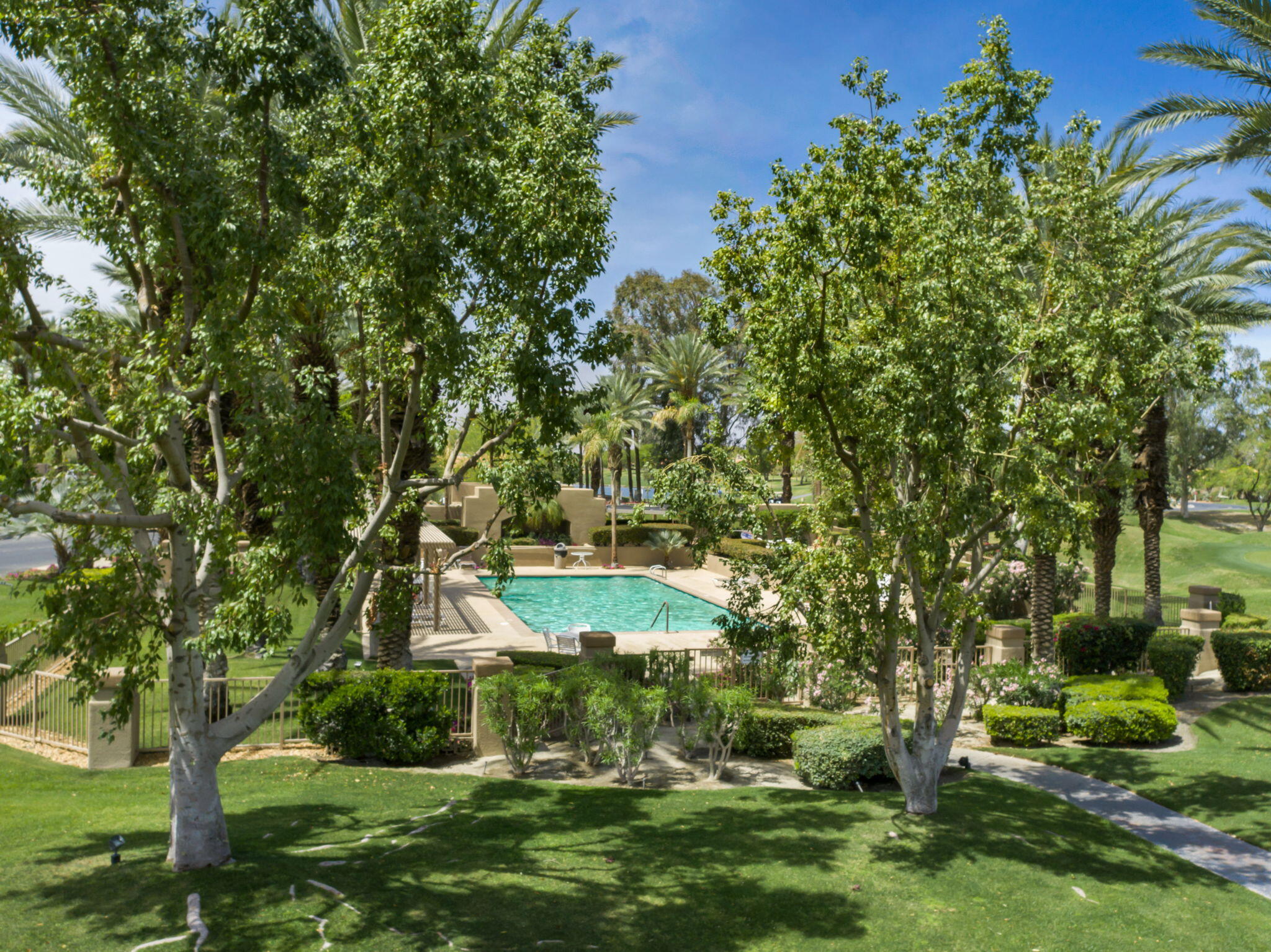 93 Augusta Drive Rancho Mirage, CA 92270 - Photo 37 of 39 a view of a backyard with garden