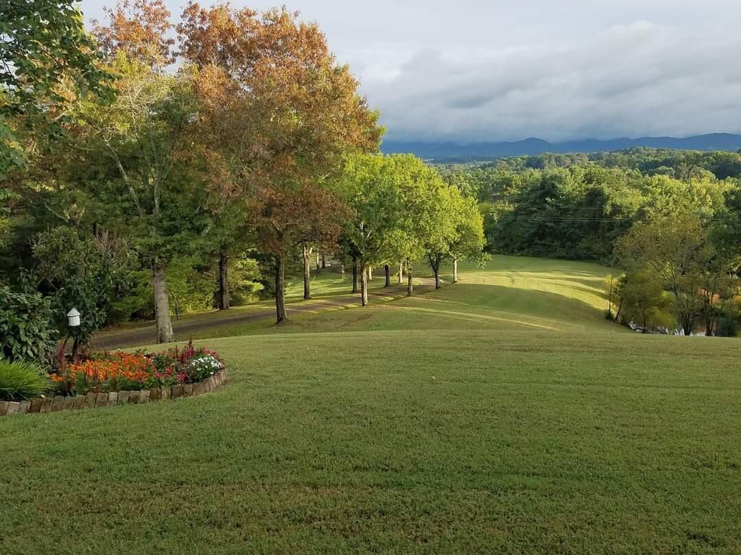 640 Lick Hollow Road Greeneville, TN 37743 - Photo 80 of 86 FB_IMG_1674697119781