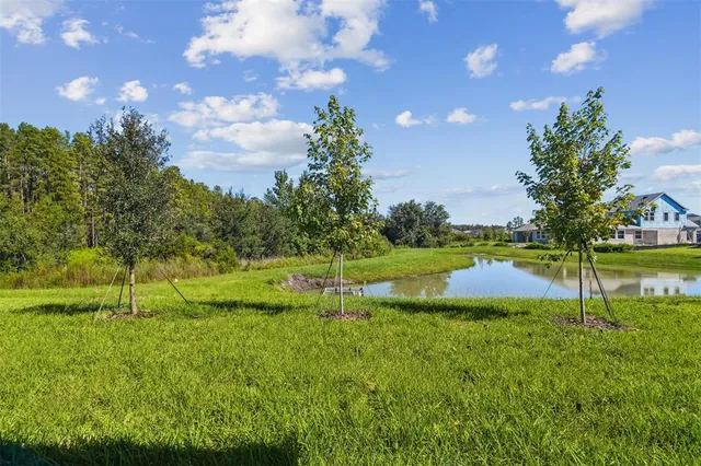 $539,990 | 31012 Pendleton Lndg Circle, Wesley Chapel, FL 33545