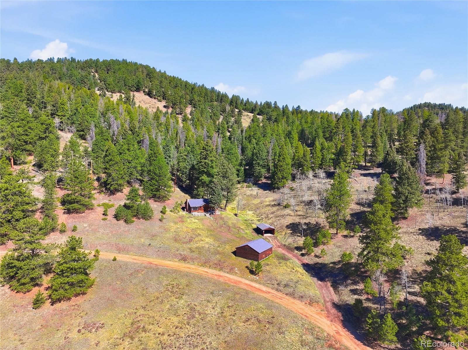 33601 Stransky Road Evergreen, CO 80439 - Photo 32 of 38