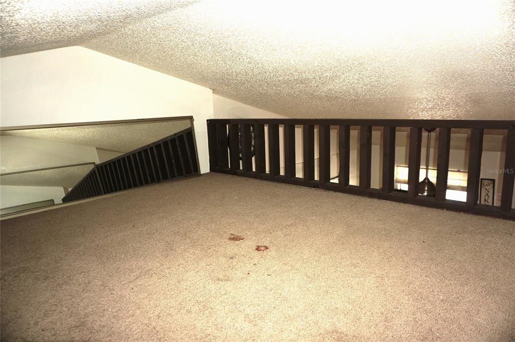 20853 Haulover Cove Road, Unit A12 Lutz, FL 33558 - Photo 26 of 35