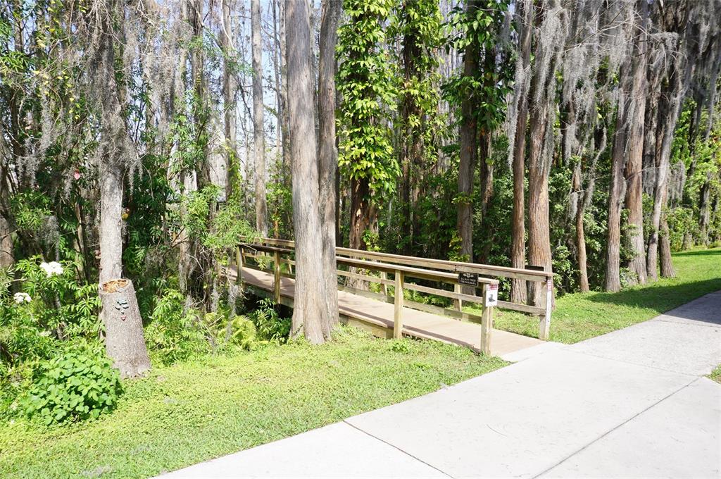 20853 Haulover Cove Road, Unit A12 Lutz, FL 33558 - Photo 30 of 35