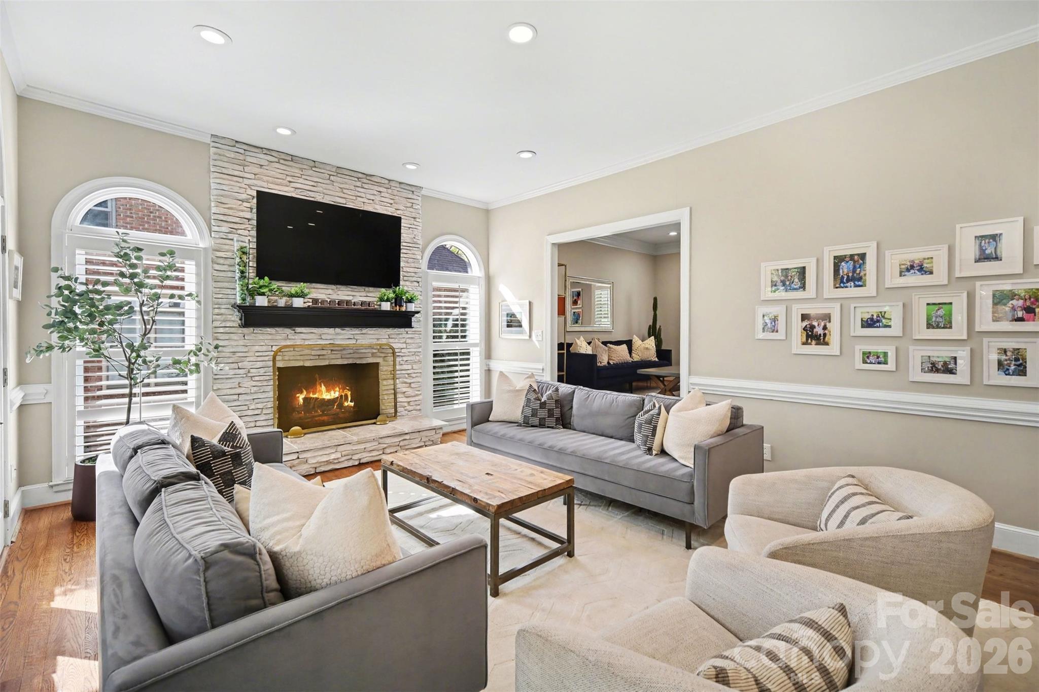 6008 Alexa Road Charlotte, NC 28277 - Photo 12 of 46 a living room with furniture a flat screen tv and a fireplace