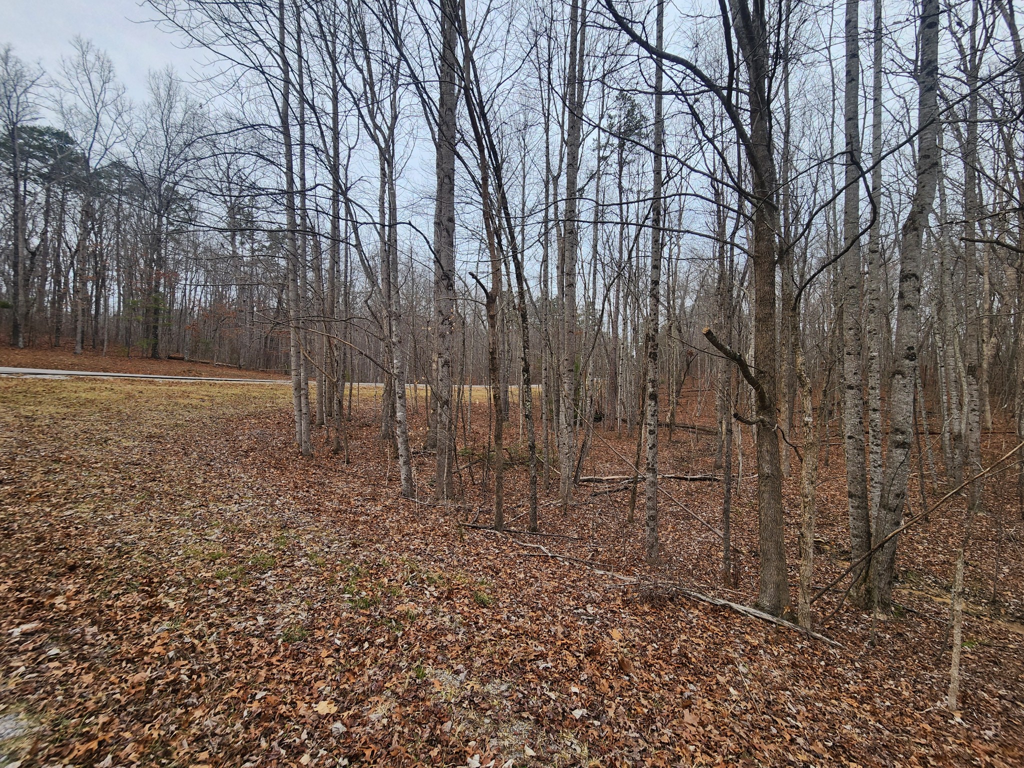 0 Blueberry Point Monterey, TN 38574 - Photo 11 of 16