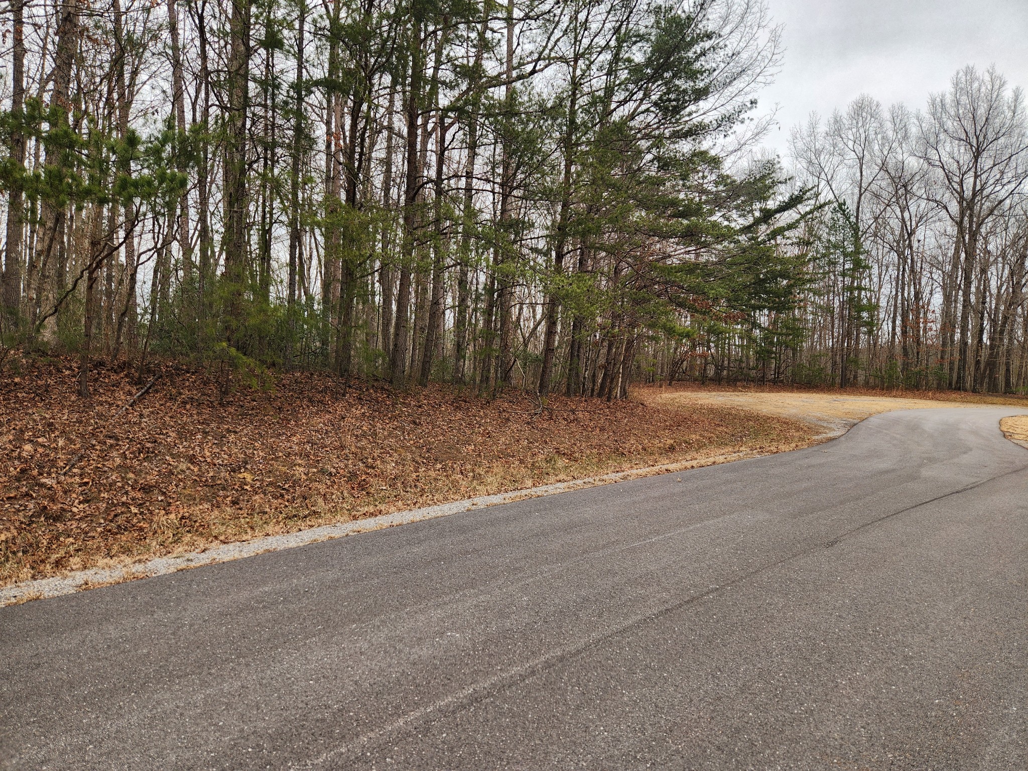 0 Blueberry Point Monterey, TN 38574 - Photo 2 of 16