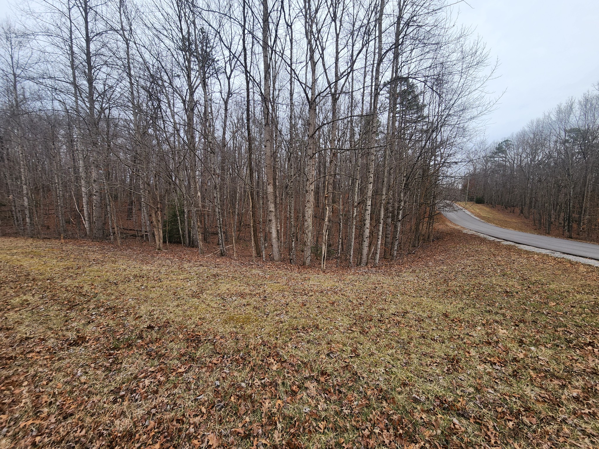 0 Blueberry Point Monterey, TN 38574 - Photo 4 of 16