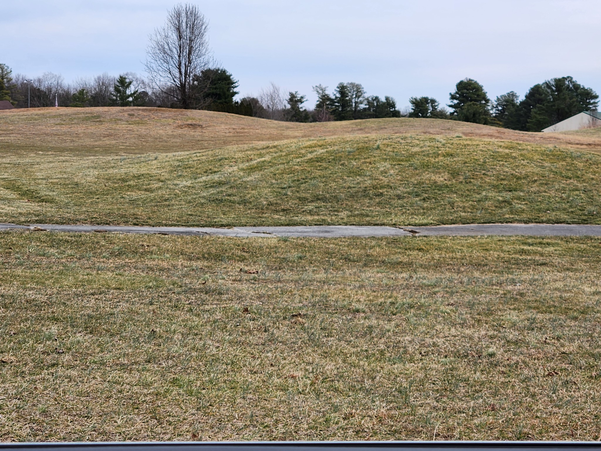 0 Blueberry Point Monterey, TN 38574 - Photo 6 of 16