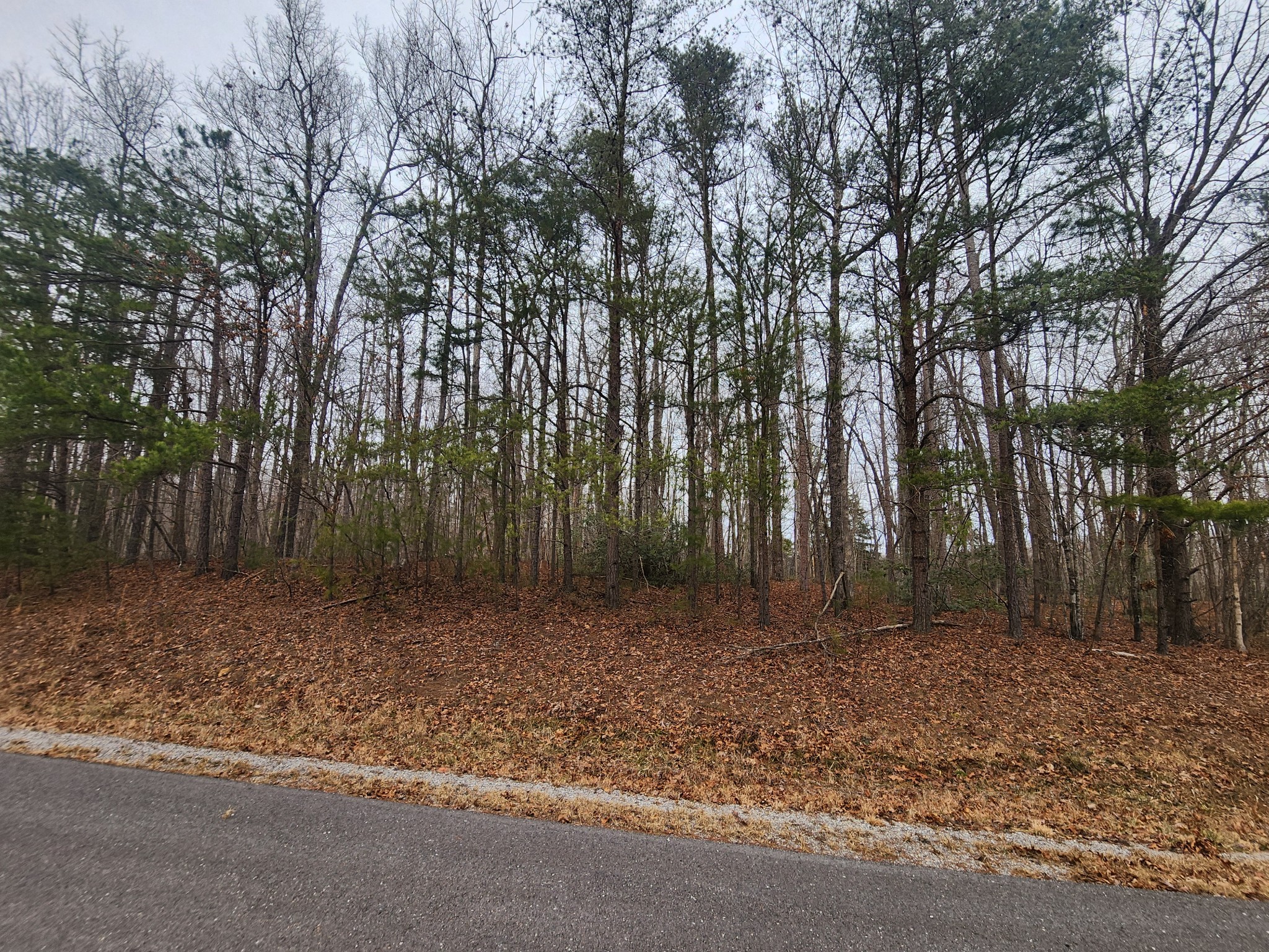 0 Blueberry Point Monterey, TN 38574 - Photo 7 of 16