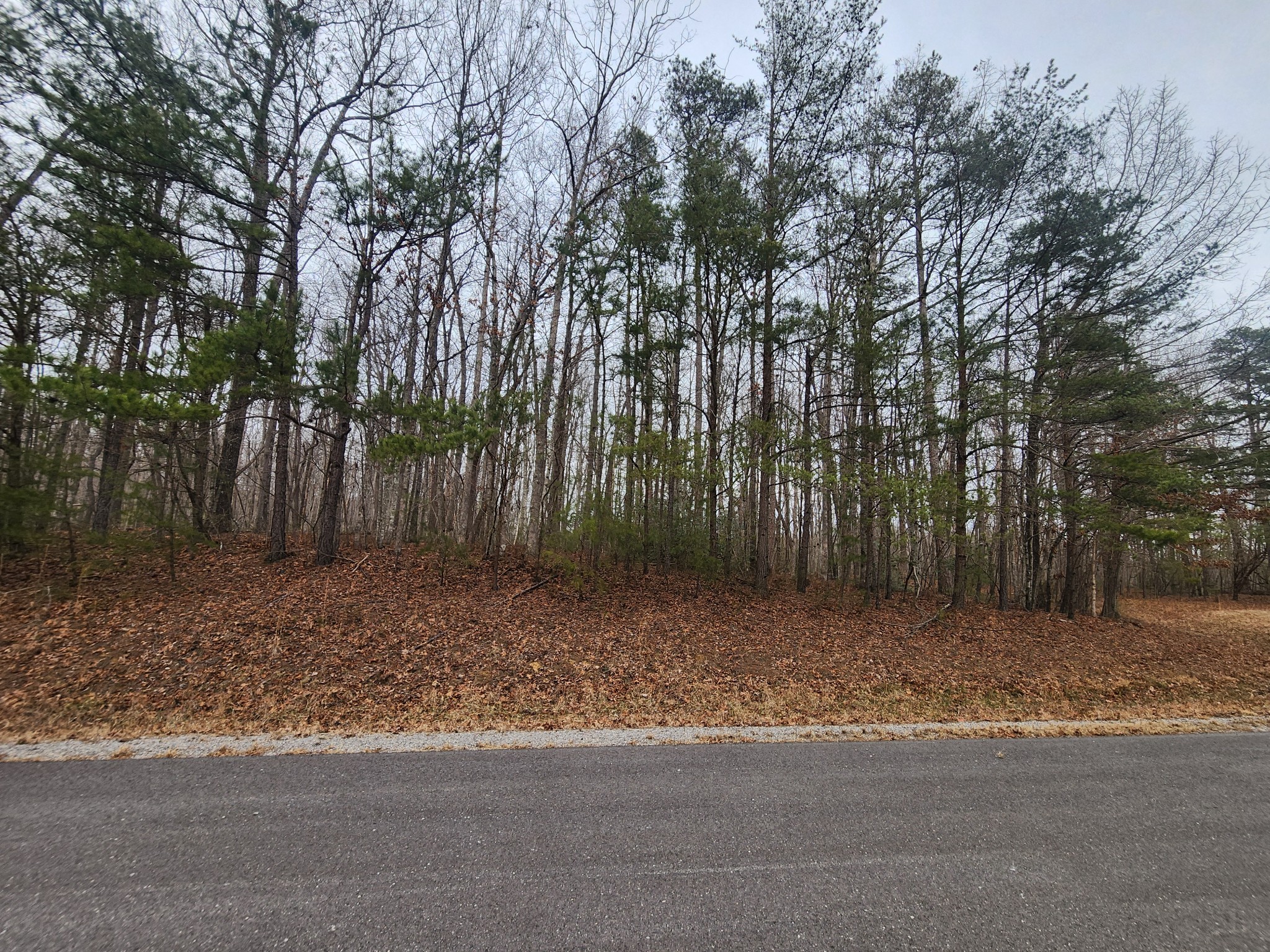 0 Blueberry Point Monterey, TN 38574 - Photo 8 of 16