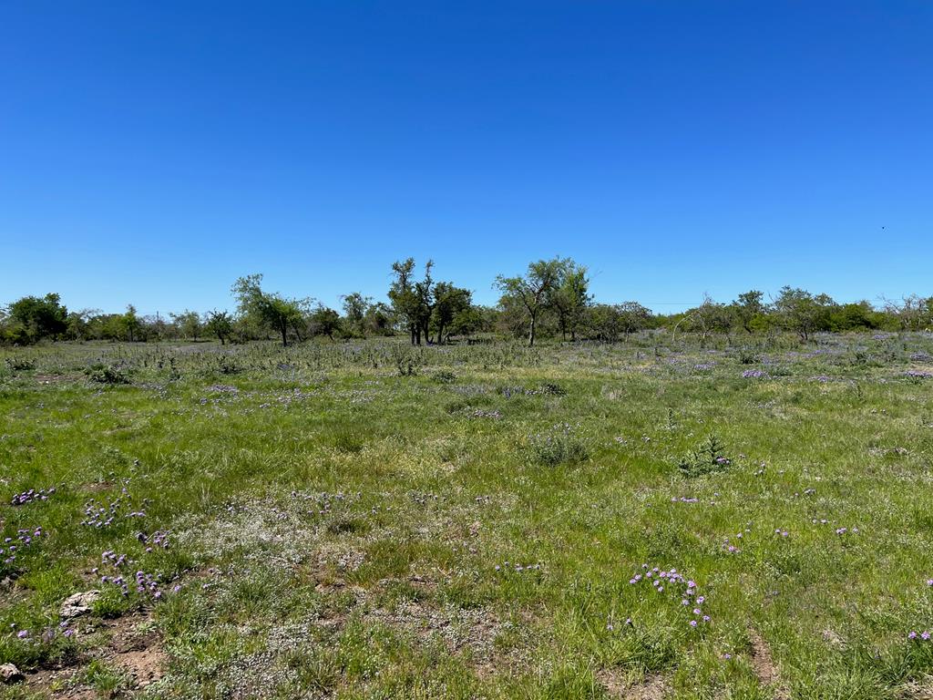 Lot 1 Jung Road, Unit 1 Harper, TX 78631 - Photo 9 of 12 Gallery Image 9