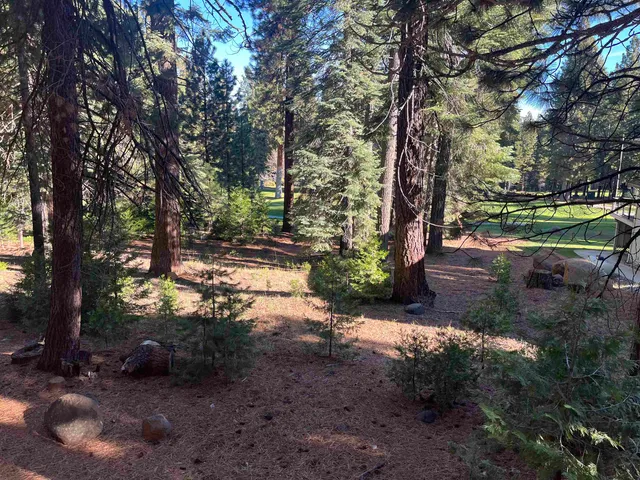 a view of backyard with green space
