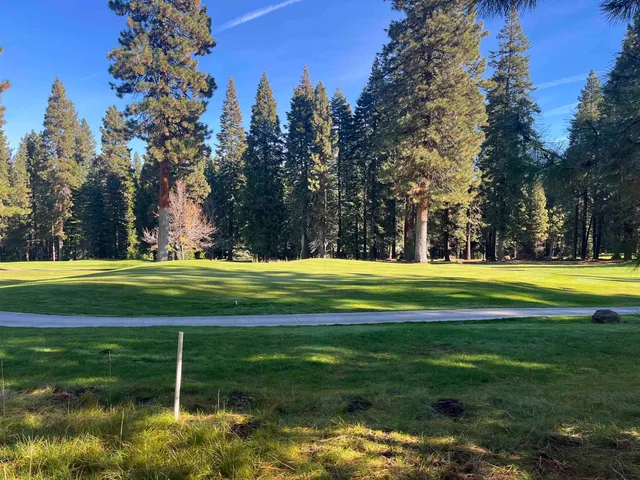 a view of swimming pool with a yard