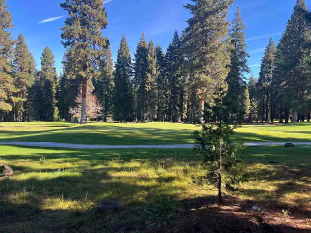 a view of a swimming pool with a yard